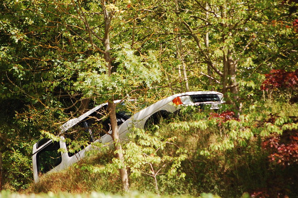 Landrover Through Trees