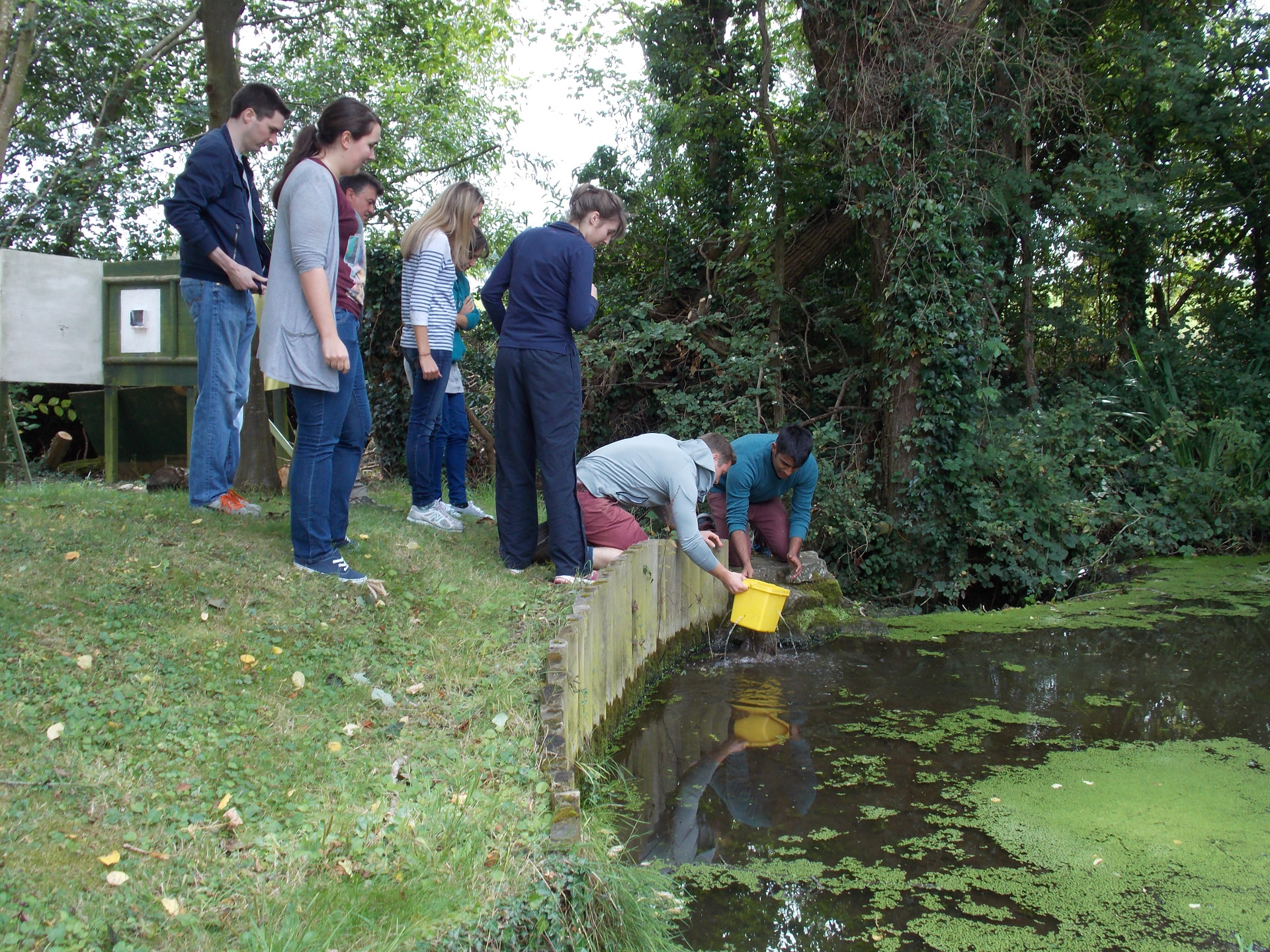 Bucket Challenge Team Game